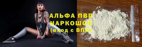 сатива Гусь-Хрустальный