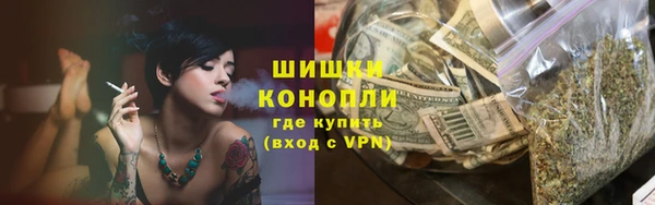 сатива Гусь-Хрустальный