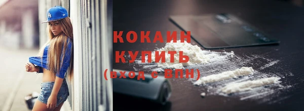 сатива Гусь-Хрустальный