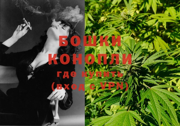 сатива Гусь-Хрустальный