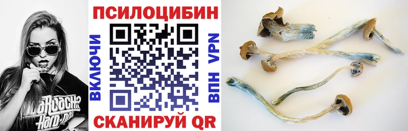 Галлюциногенные грибы Magic Shrooms  мега tor  Донецк 